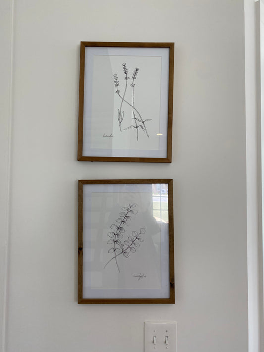 Framed Botanical Art - Set of 2